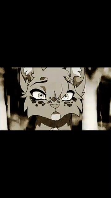 Коты-Воители Белка #эдит