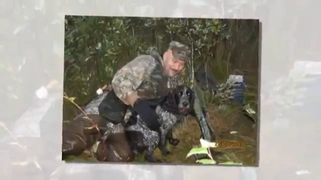 Из экспедиций: Тайга часть 3. С собакой. смотреть онлайн