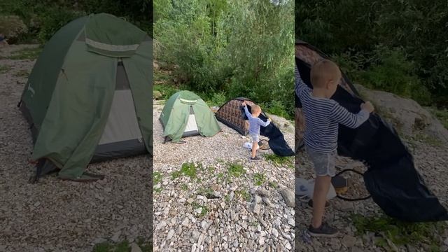 Моркваши Форева смотреть онлайн