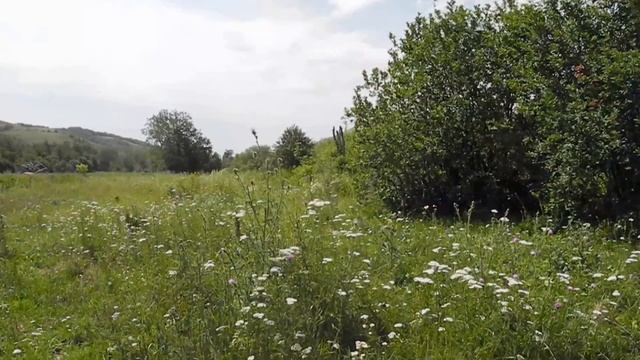 Покинутый рай смотреть онлайн