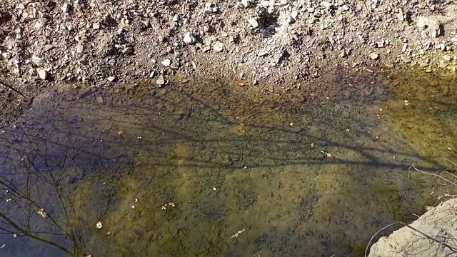 Мотопробег - село Черниговское , х.Кушинка, х. Гунайка четвертая, Тубы, пос. Отдалённый, и далее. смотреть онлайн