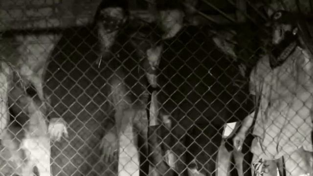 Ночь Нокаутов-Bandanas La Noche смотреть онлайн