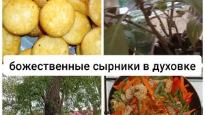 Успела по делам до града/ готовлю вкусный и красивый ужин /лучшие сырники в духовке