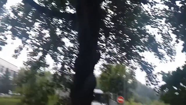 Обнаружил около дома растение с табличкой смотреть онлайн