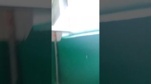 на 9 этаж с ветерком