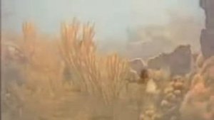 Luis Felipe González en las Fiestas de la PapA 2022