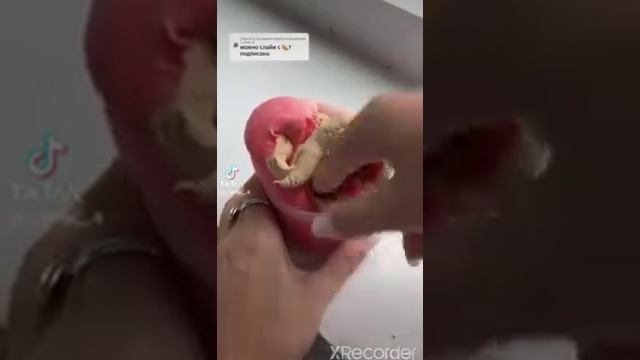 Слаймы с Фастфудом+истории смотреть онлайн