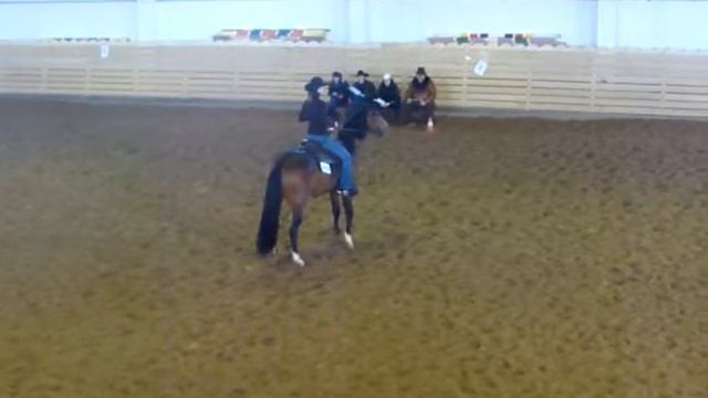 13.03.02 КСК Добромысли Рейнинг смотреть онлайн