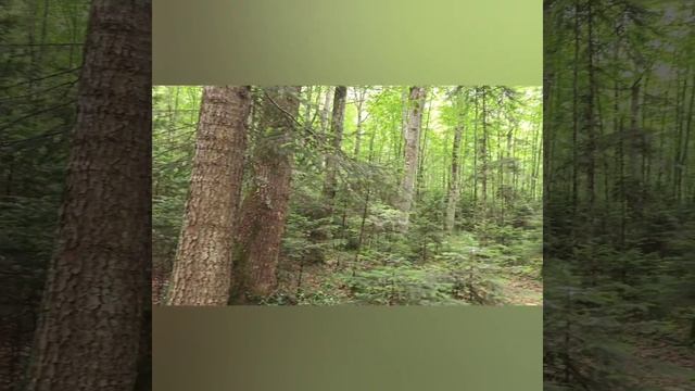 Университетский водопад. Путь от трассы на плато Лаго-Наки. смотреть онлайн