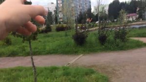 СЕРТОЛОВО ОБЗОР!!! +БОНУС #сертолово #обзор