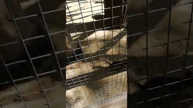 Лого Парк 3 смотреть онлайн