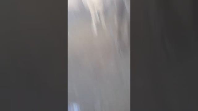 Каракол мал базар2018 смотреть онлайн