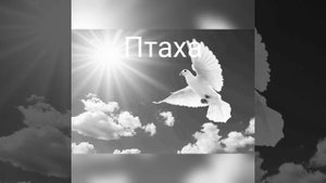 Антитіла - Птаха