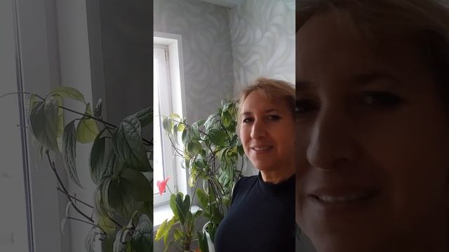 Пример Пути  Освобождения от Зерна Духа к Кристаллу Души. Пример осознания Натальей Гришаевой. МНШУ