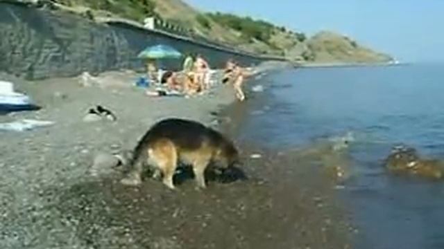 Крым, морское смотреть онлайн