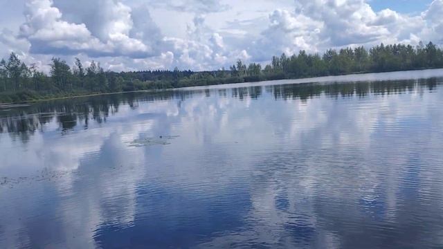 Бездонное озеро. Красивое озеро среди болот в Солнечногорском районе. смотреть онлайн