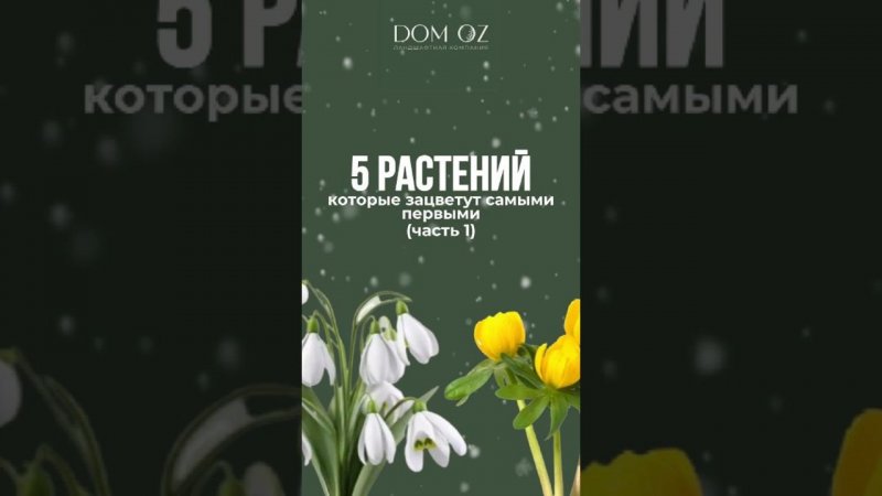 ЗАКАЗАТЬ ПОСАДКУ РАСТЕНИЙ: +7(985)920-77-00 (WhatsApp, Telegram)  https://domozmsk.ru