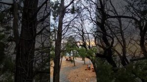 Глэмпинг Очаг Архипо-Осиповка | Трипинглэмп