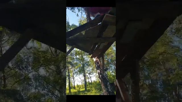 Первое видио/ШАЛАШ НА ДЕРЕВЕ смотреть онлайн