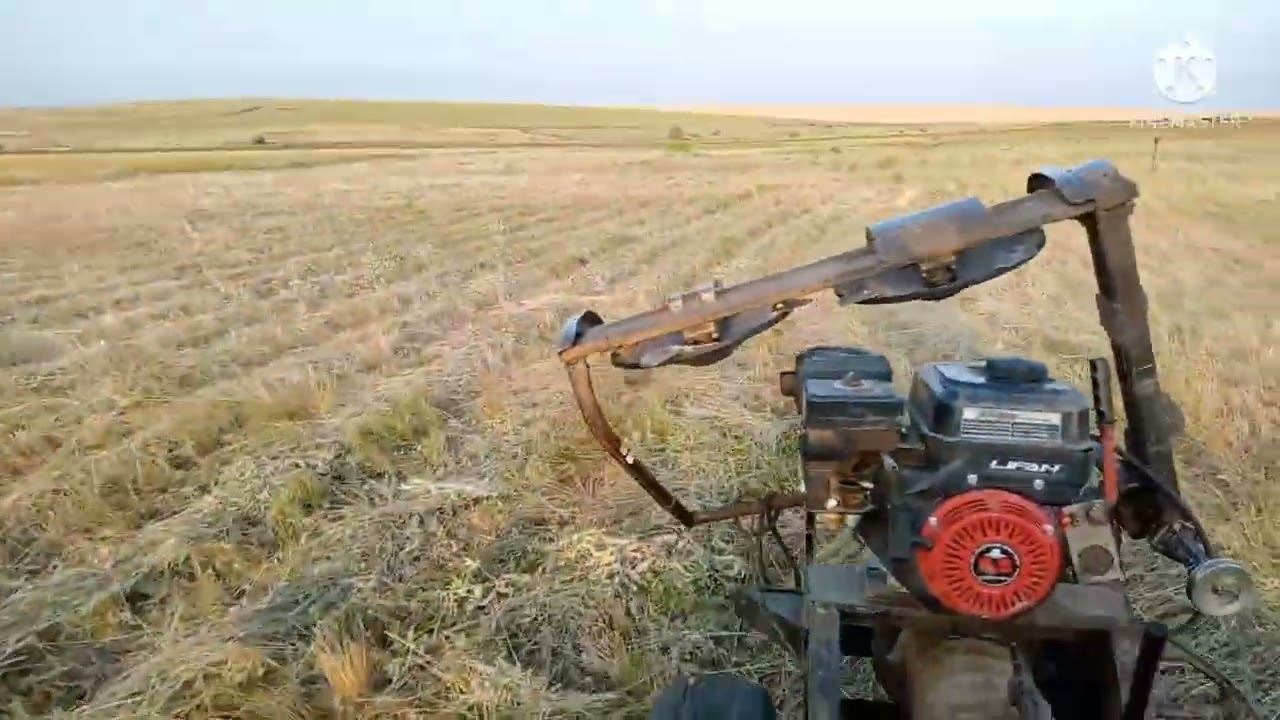 Сгребаю, кошу сено и копаю чёрный лом .