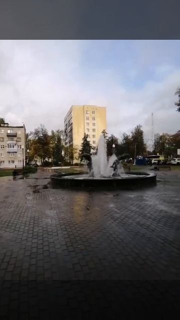 🤩Бассейн Дельфин в Воскресенске. 🐬Осень 2022г. 🍁🍂🌻 смотреть онлайн