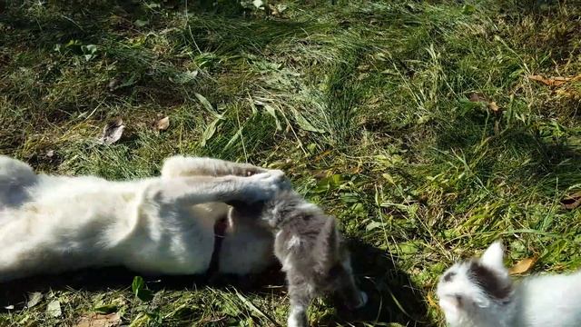 Утренние игры после завтрака смотреть онлайн