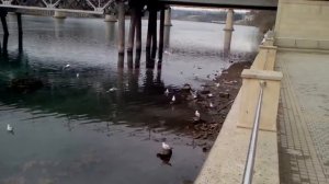 Мингечаур на сегодня / Mingecevir bu gun/ 15-02