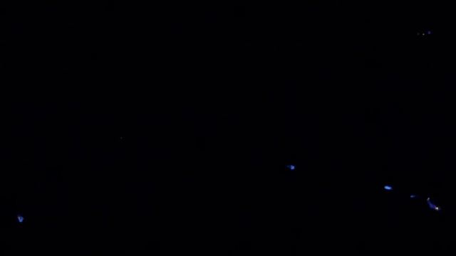 Silage of light 3 смотреть онлайн