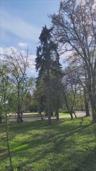 Весна в городе