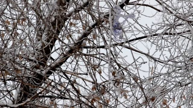 Зима в Казани смотреть онлайн