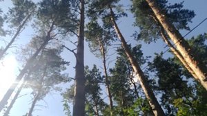 Зоопарк в Ульяновске, июль 2024