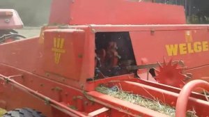 Пресс-подборщик Welger AP53 - видео работы в поле