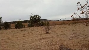 Кладоискатель, БЛИН....