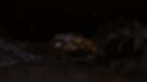 выпал 104 роберто карлос из дом времени:)