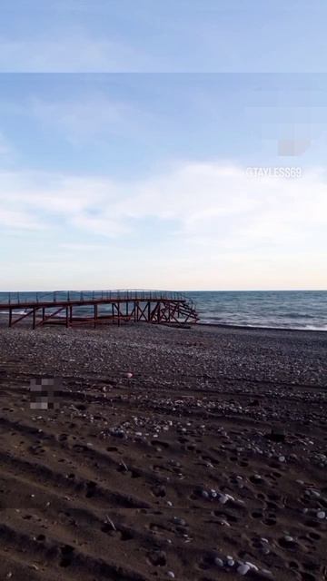 Улетели на море 🌊с собакой 🐕 #абхазия2023 #наморе #абхазия #море #путешествиессобакой