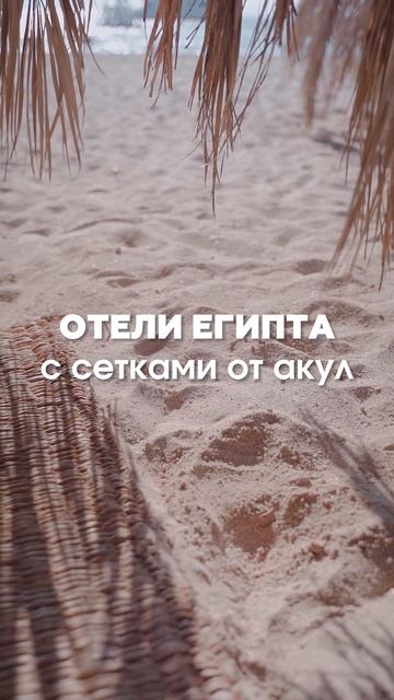 Отели Египта с сетками от акул 🇪🇬