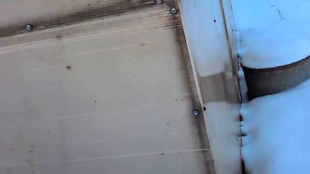 Неудачный поход в огород.Мороз.Земля для перцев.Теплицы. смотреть онлайн