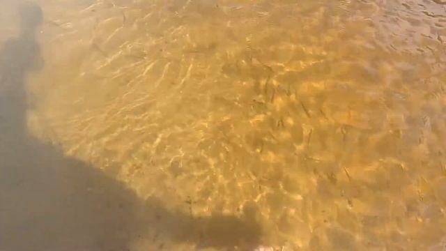 Подводная съемка! Рыба кушает с рук!/Underwater shooting! Fish eats from the hands! смотреть онлайн