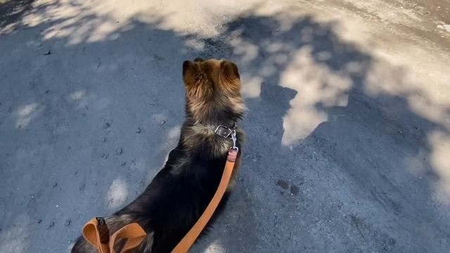Харьков. 😳 Сегодня Взрывы! Вы Брехуны🤦♂️
