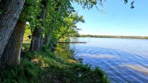 Курлацкий пруд. Ростовская область.