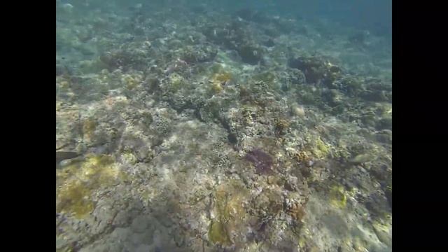 Amed snorkeling, Амед Бали места для снорклинга