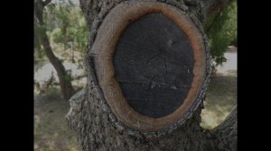 Крым. Слайды из санатория Крымское Приморье.