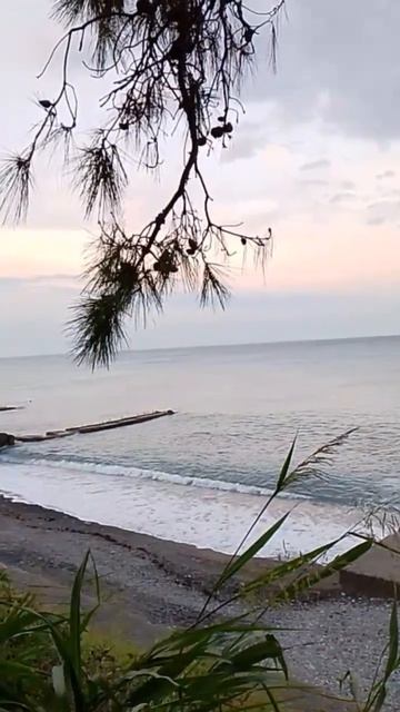 Благодарю за счастье видеть красоту #море #василисаголд #nature #шумморя #звукиводы #волны #ветер смотреть онлайн