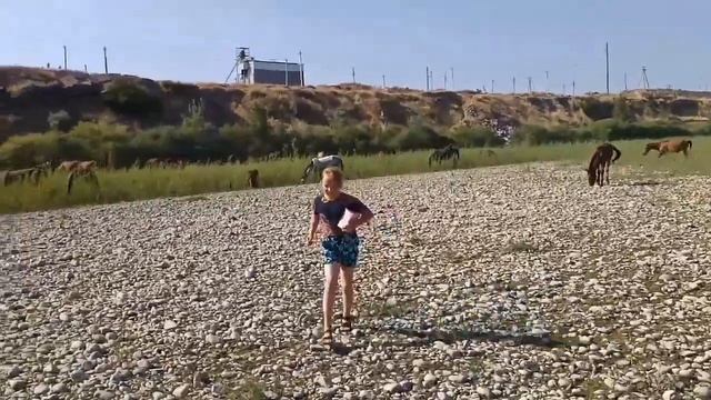 ЧИРЧИК--ТАШКЕНТ--Бинокор смотреть онлайн