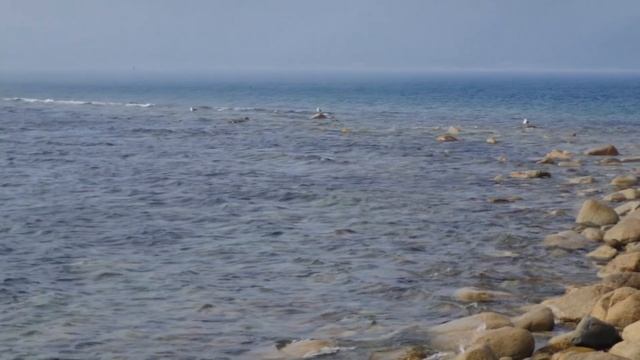 Бухта Петрова-жемчужина России! Белые пляжи, голубая вода, загадочный остров. смотреть онлайн