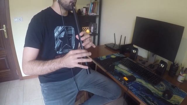 Tempus Fugit on Low F Whistle смотреть онлайн