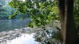 Моё открытие на утку. август 23г.