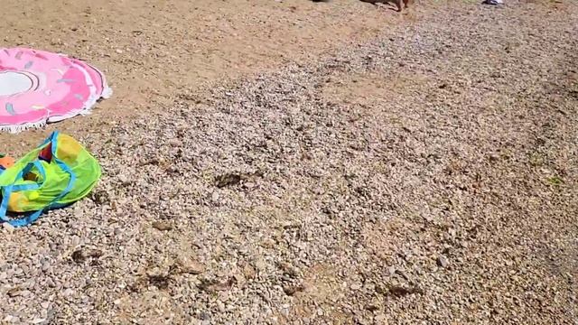 Туристы поехали в Крым и Севастополь, июнь 2024 пляж Орловка 🌴 🏖  и "Звездный берег"