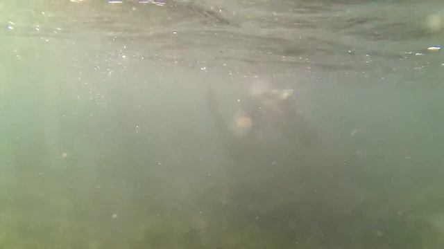 2015.09.26. ВелоПоход (Фестиваль Восхождение) 2.Море, Кабардинка. Оксана. смотреть онлайн