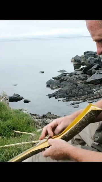 Did you know you can use willow bark for pain relief instead of aspirin? смотреть онлайн